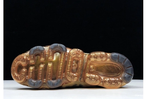 AR6631-002 METALLIC 2019 VAPORMAX AIR GOLD BLACK 0306